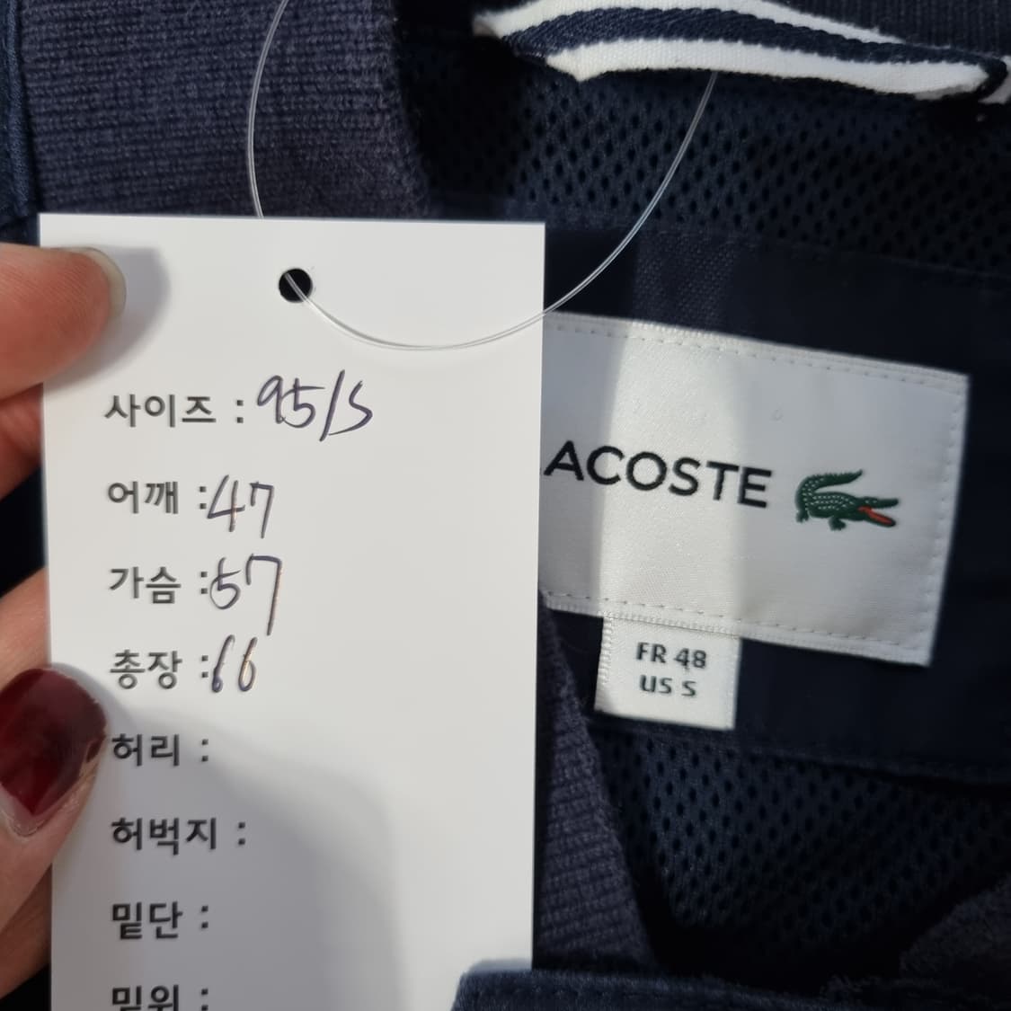 라코스테 블루종 봄버자켓  상품이미지4