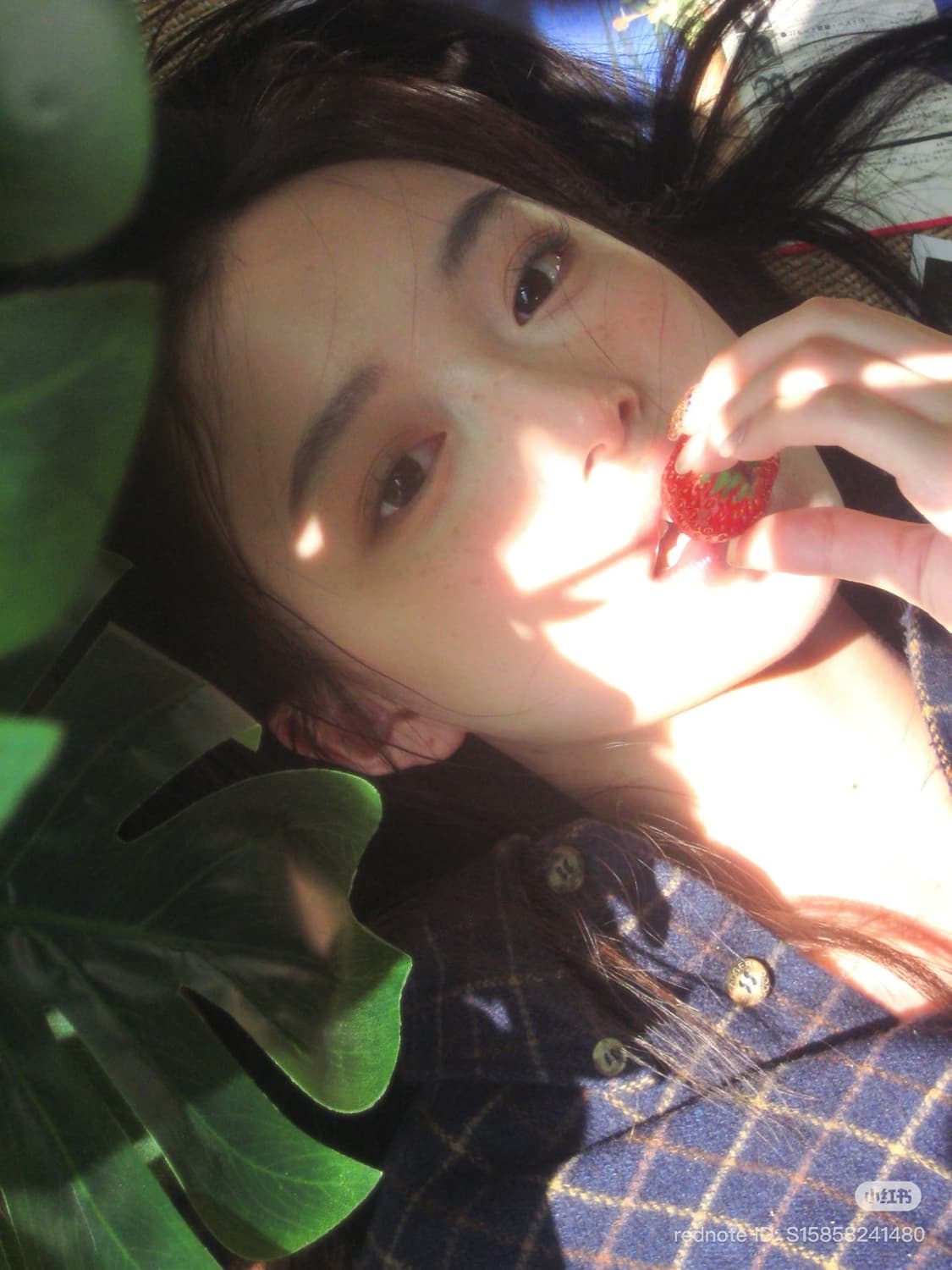 (예약중) 캐논 익서스 75 풀박 / IXUS 75 상품이미지7