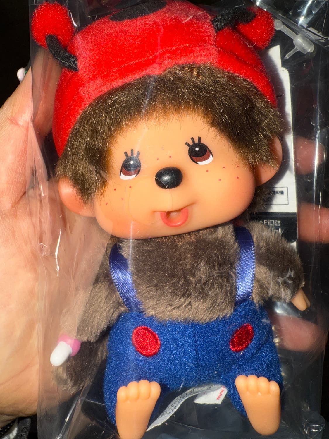 (정품&새상품)몬치치 빅헤드 SS 무당벌레 키 체인 상품이미지1