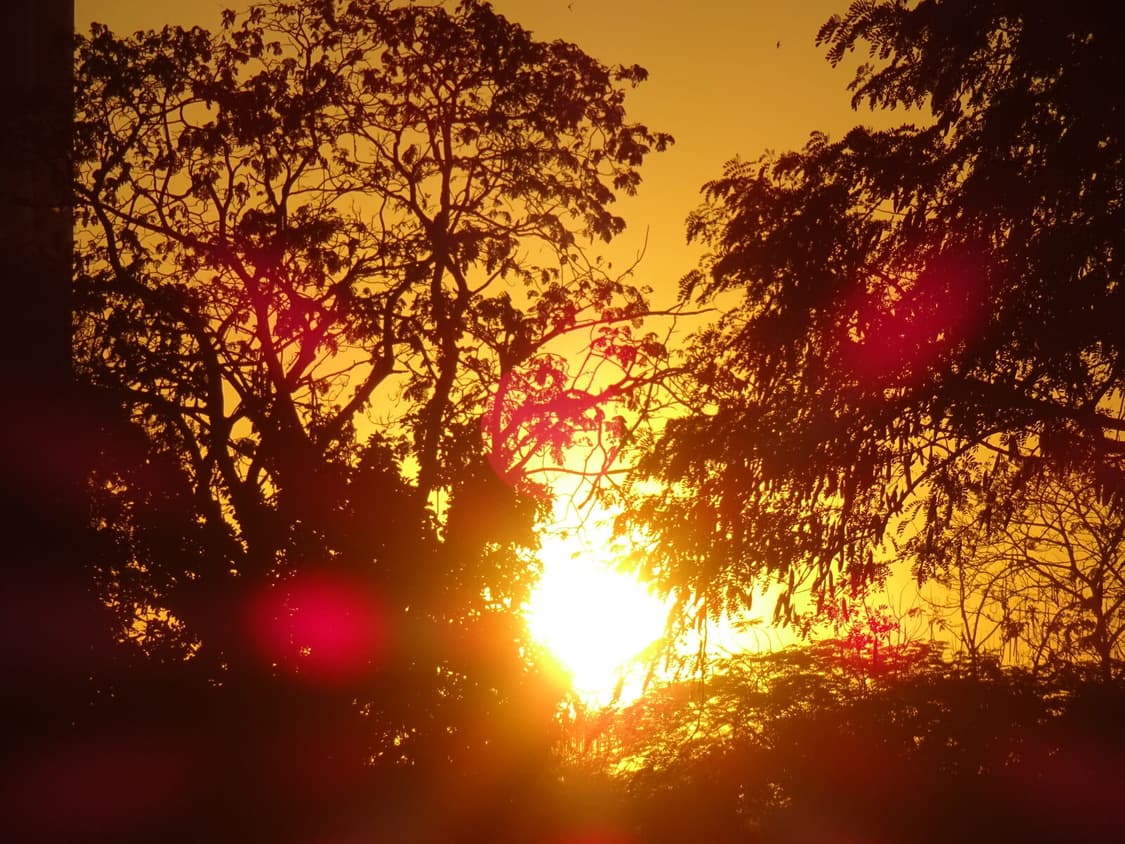 [하이엔드&뽀용!] 소니 사이버샷 DSC-WX220 골드 디지털카메라 상품이미지9