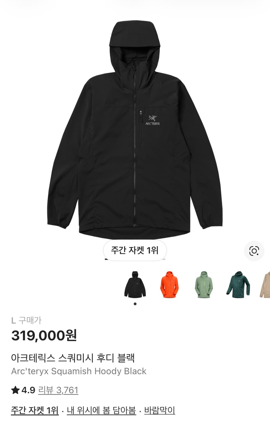 아크테릭스 스쿼미시 후디 블랙 L 상품이미지1