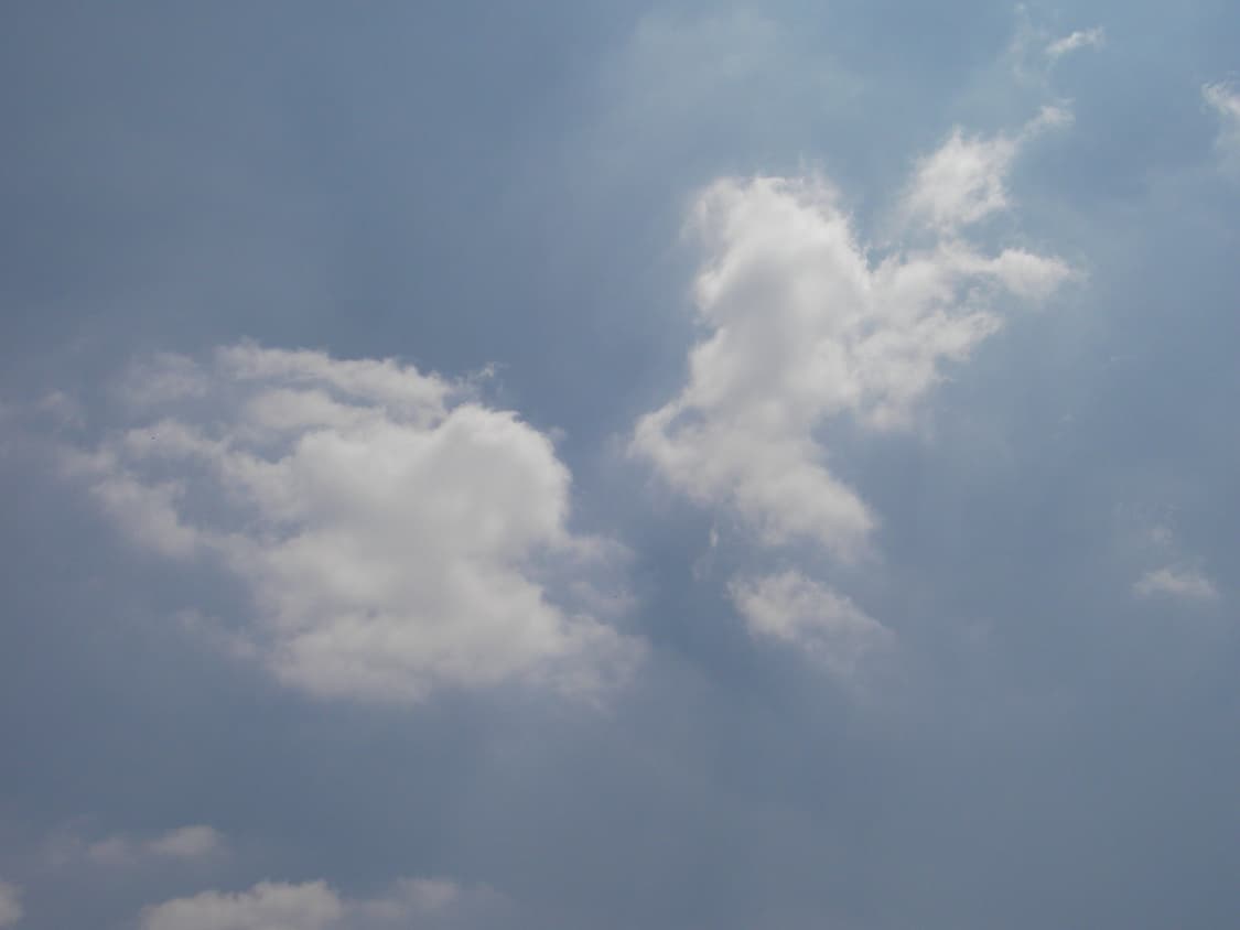 산요 작티 E6 실버 빈티지디카 (작례 ㅇ) 상품이미지10