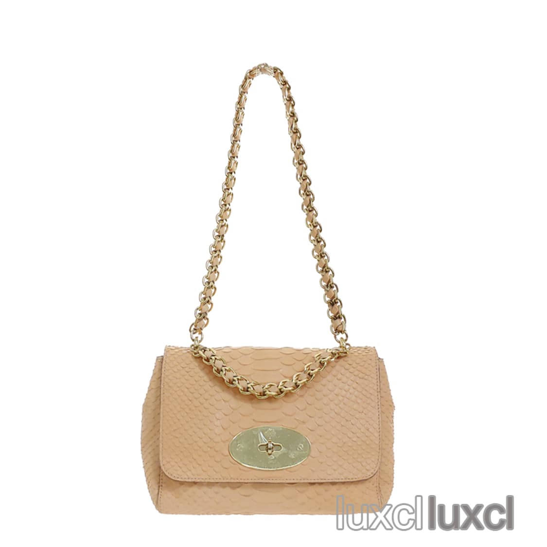 [정품] 멀버리 세실리 파이톤 스킨 사첼 숄더백 상품이미지2