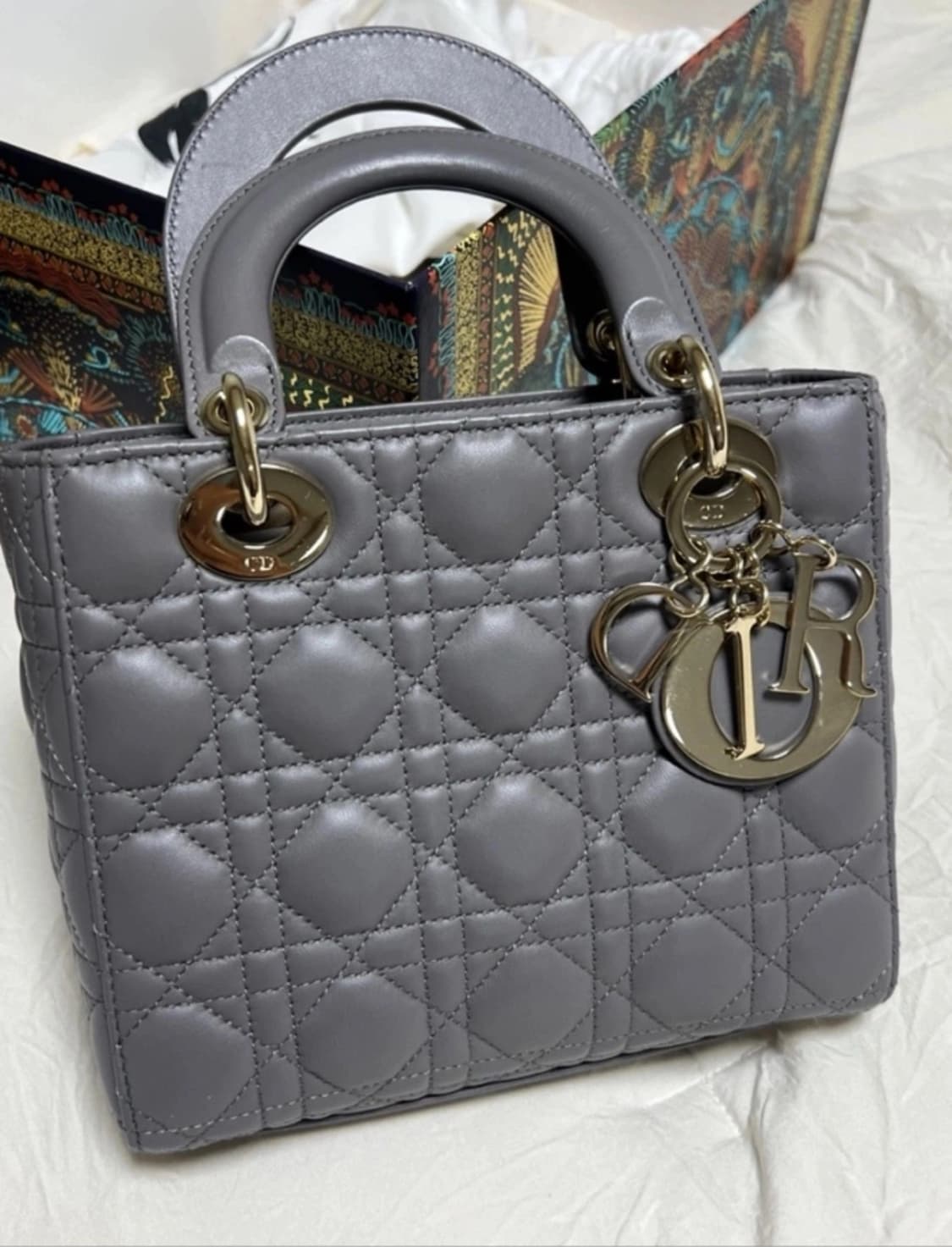 디올 레이디백 스몰 상품이미지2