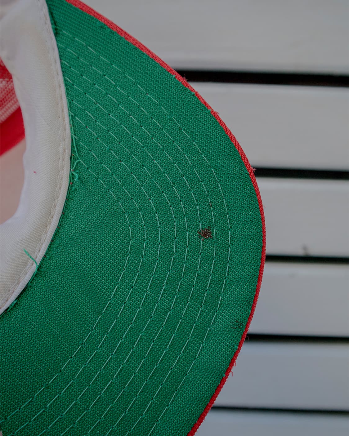 MLB St. Louis Cardinals Bassball 캡 상품이미지6