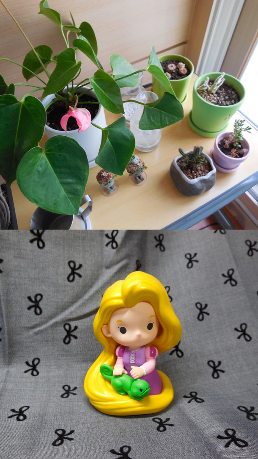 풀박-니콘 쿨픽스(coolpix) s6500 미품 오렌지🍊 상품이미지8