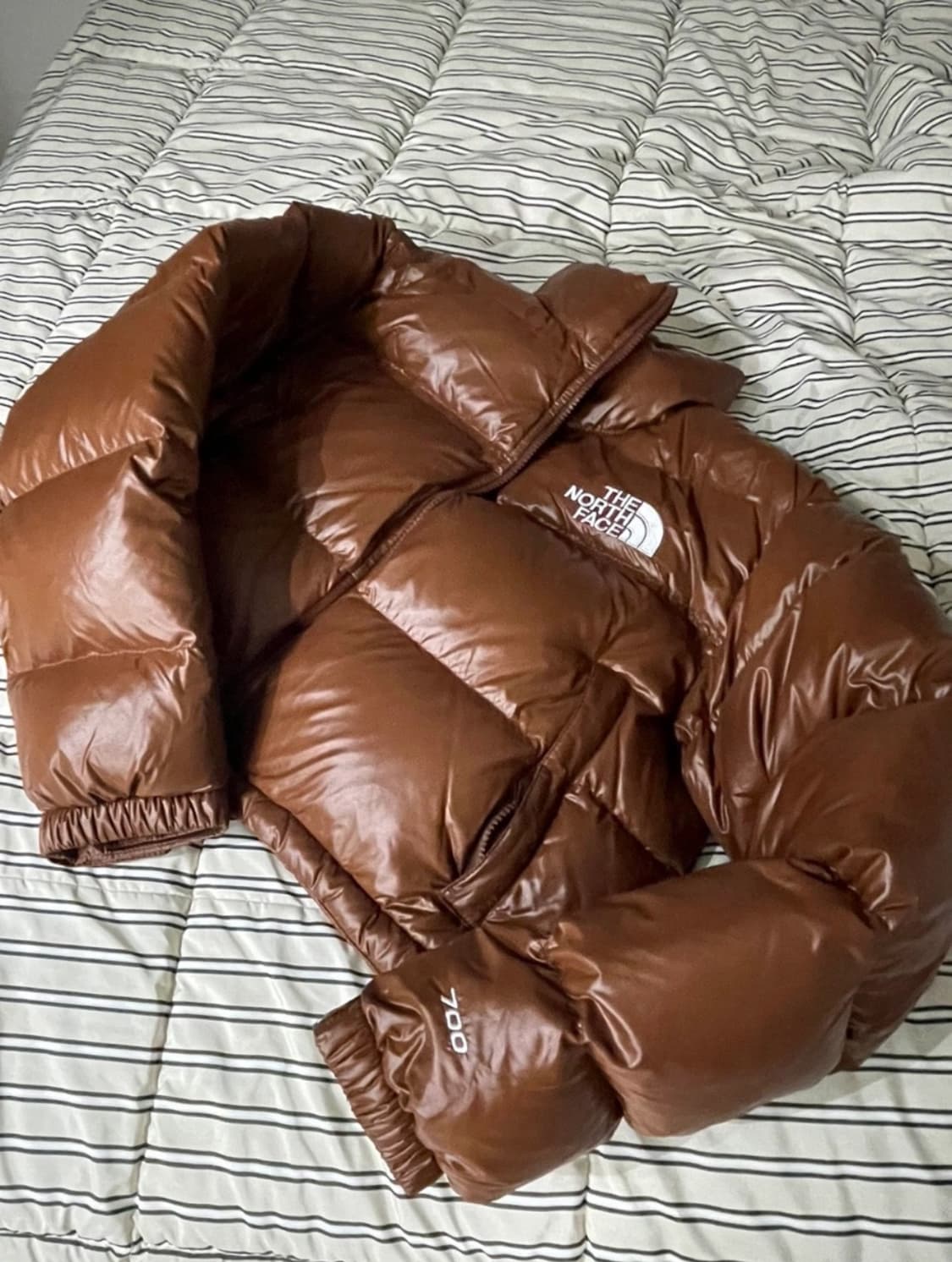 노스페이스 눕시 숏 자켓 다크 오크 상품이미지1