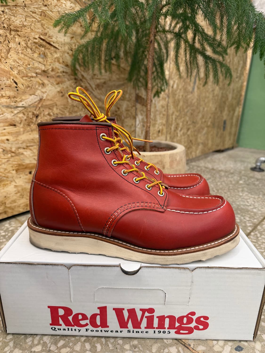 레드윙 아이리쉬 세터 8875 9E 상품이미지3