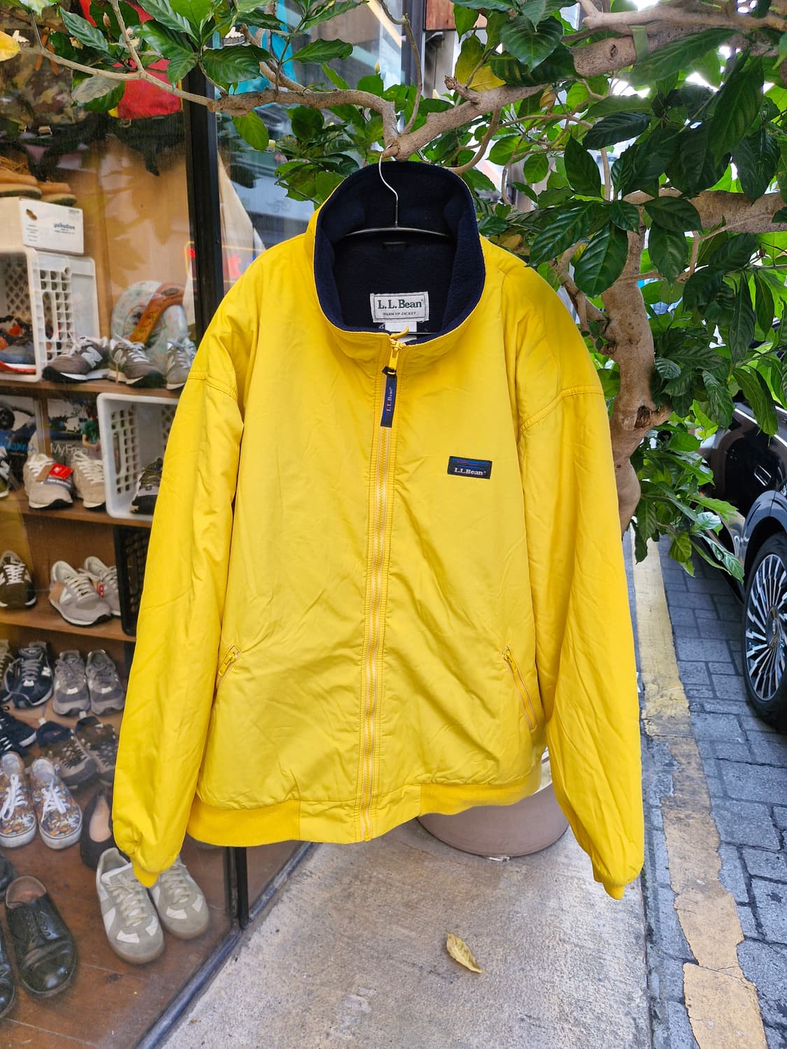 Z-208 엘엘빈 웜업 봄버 자켓 상품이미지1