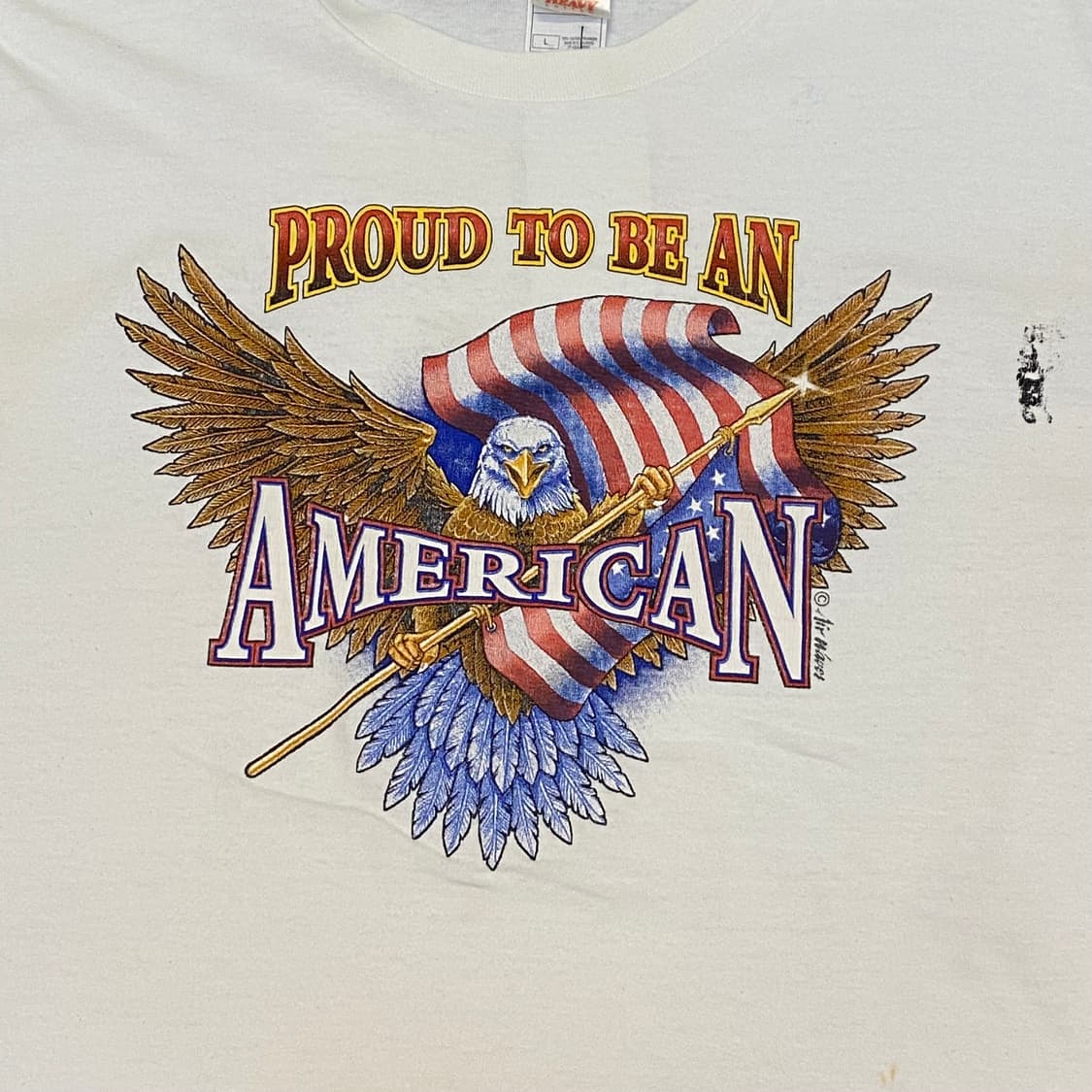 미국 빈티지 프루트오브더룸 아메리칸 독수리 반팔티 상품이미지3
