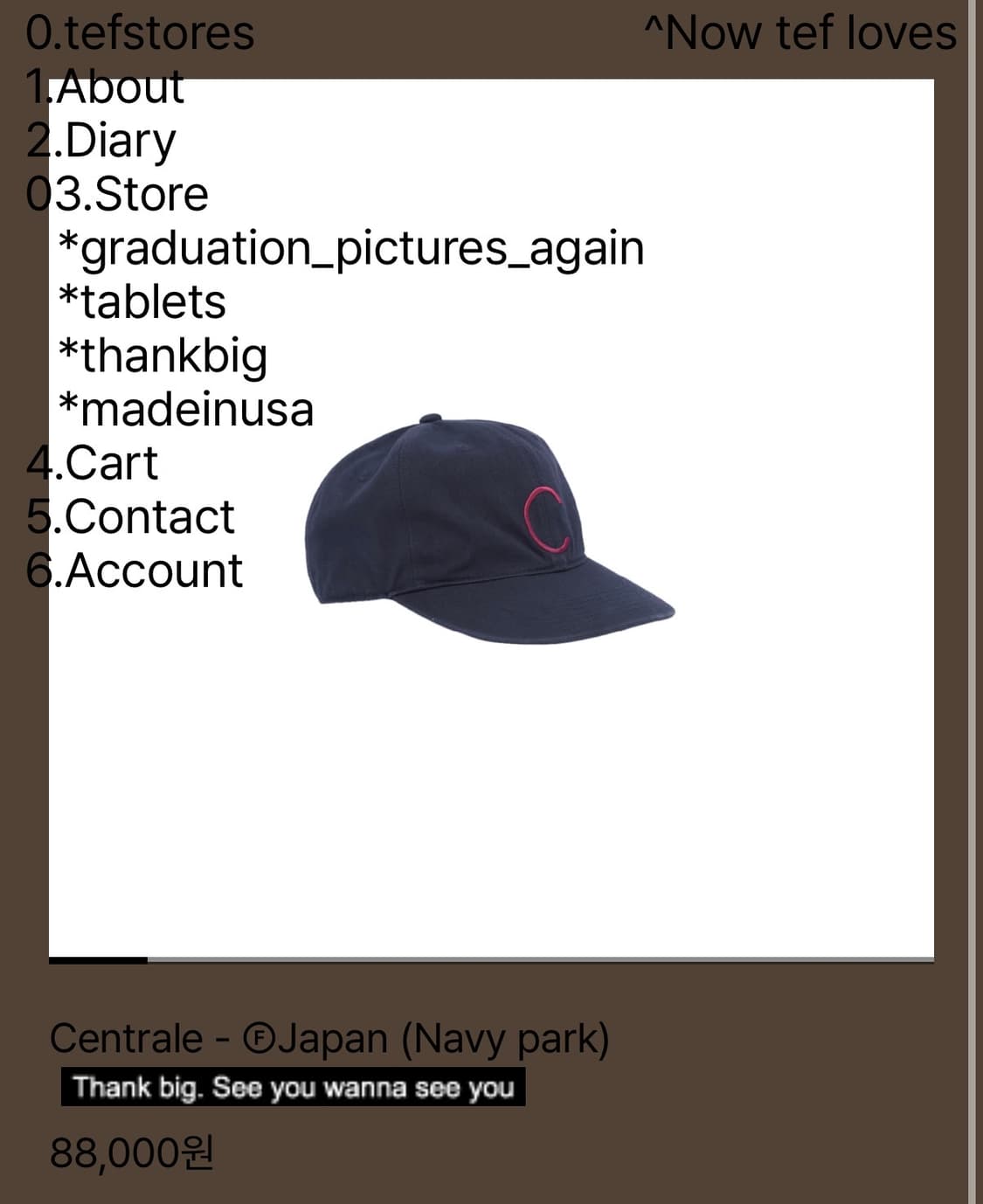 테프스토어즈 Centrale - Japan(Navy park) L사이즈 상품이미지1