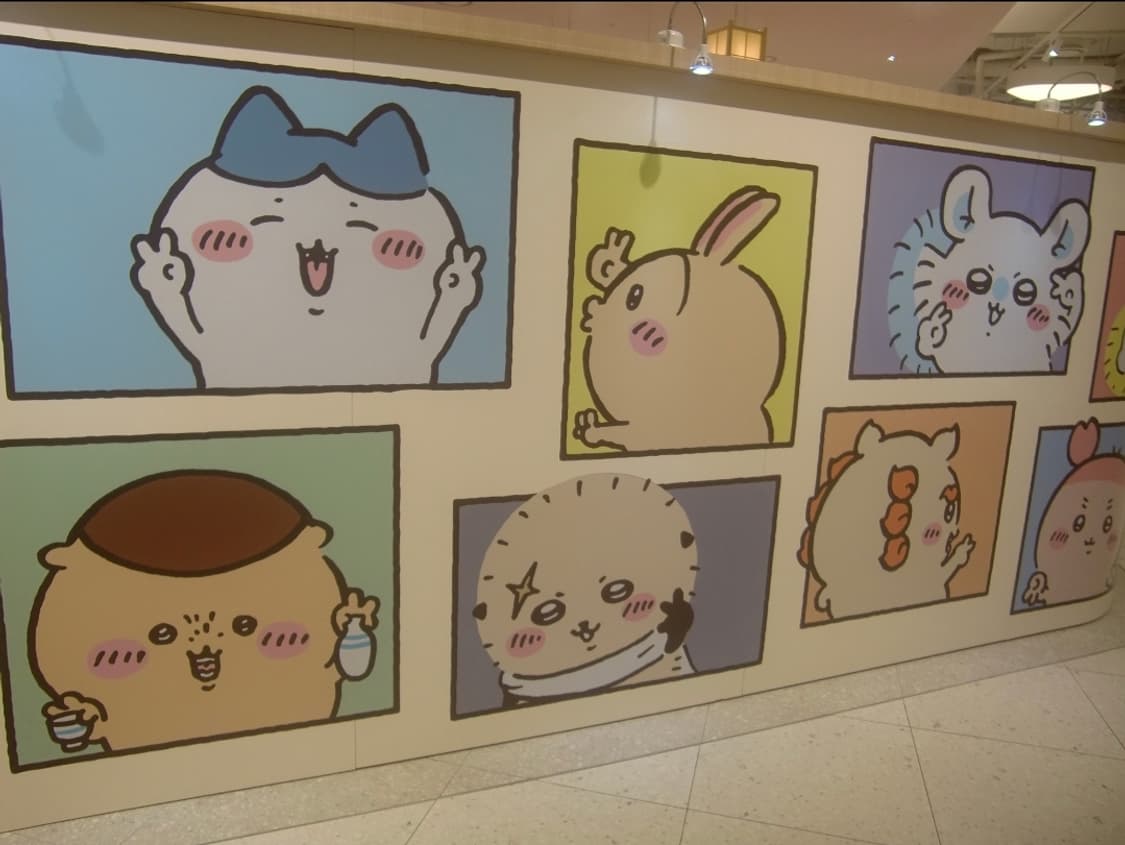 메이크업🧚‍♀️한글지원🩷 카시오 EX-Z450 베이비핑크 ✨
🩷 상품이미지8