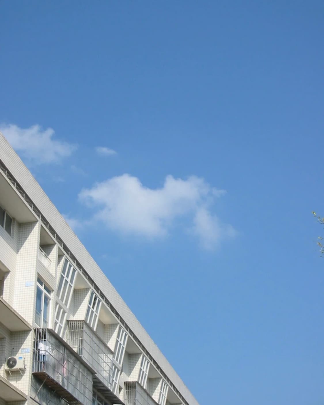 Canon IXY 200a 상품이미지3