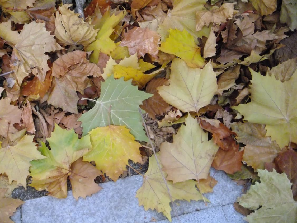 후지 파인픽스 Z900EXR 디카 (작례O) 상품이미지6