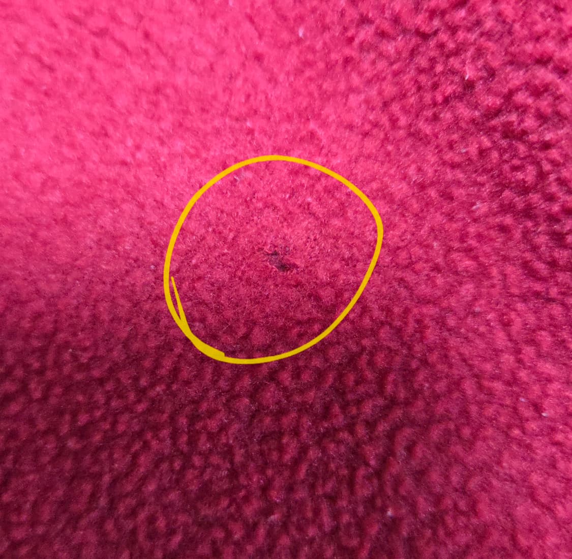 (L)파타고니아 자메이카 레드 신칠라 상품이미지4