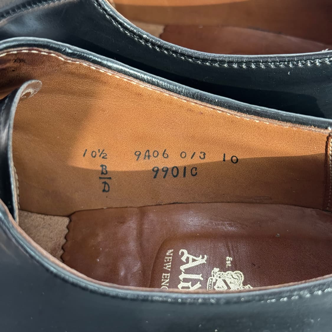 [10.5D] 알든 9901C 블랙 코도반 플레인 토 더비 상품이미지10