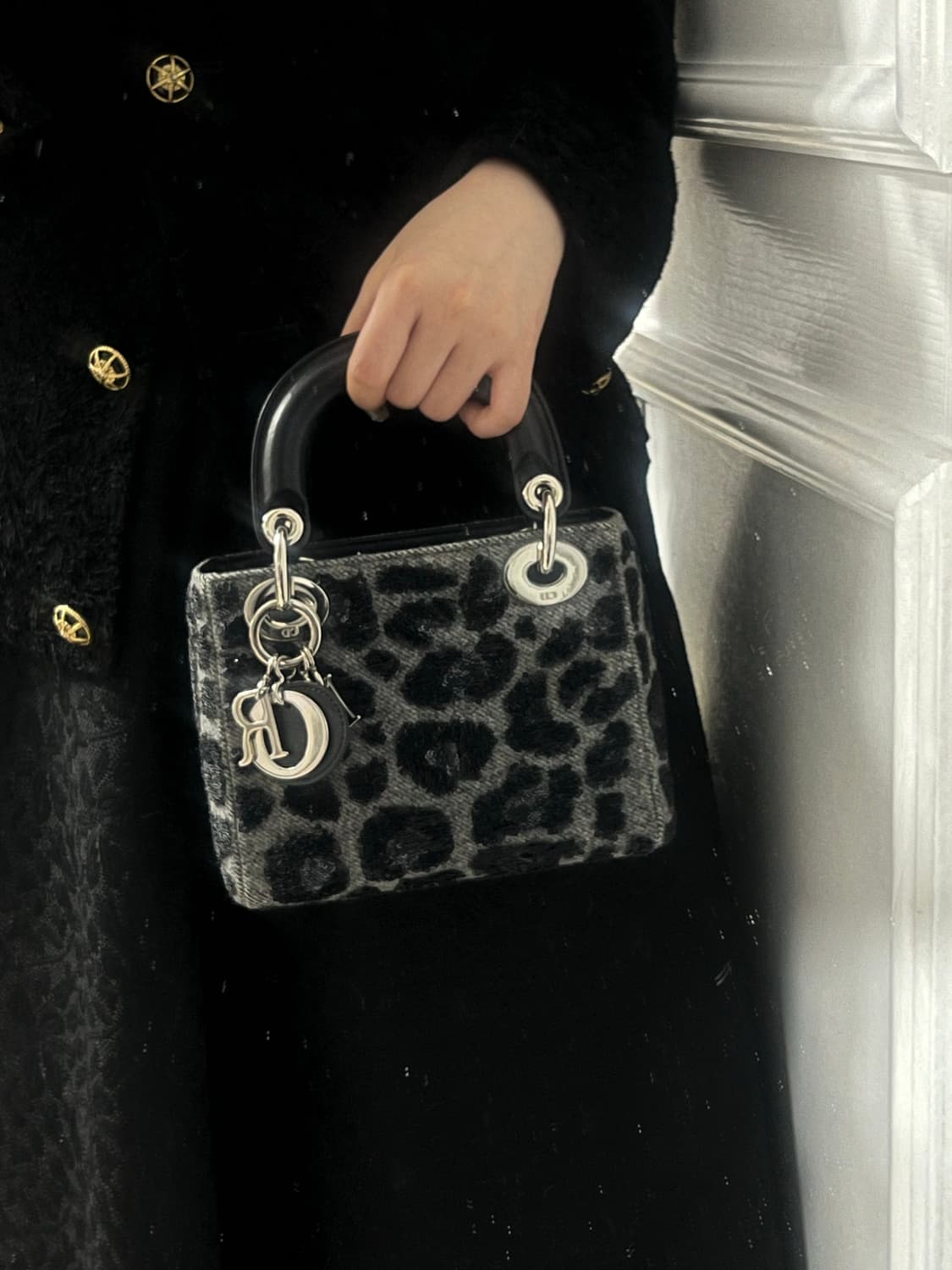 디올 레이디백 미니 상품이미지1