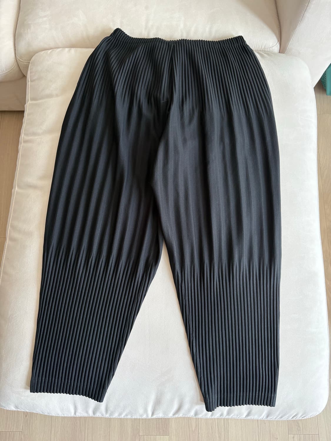 [3] 이세이미야케 옴므플리세 JF151 상품이미지3