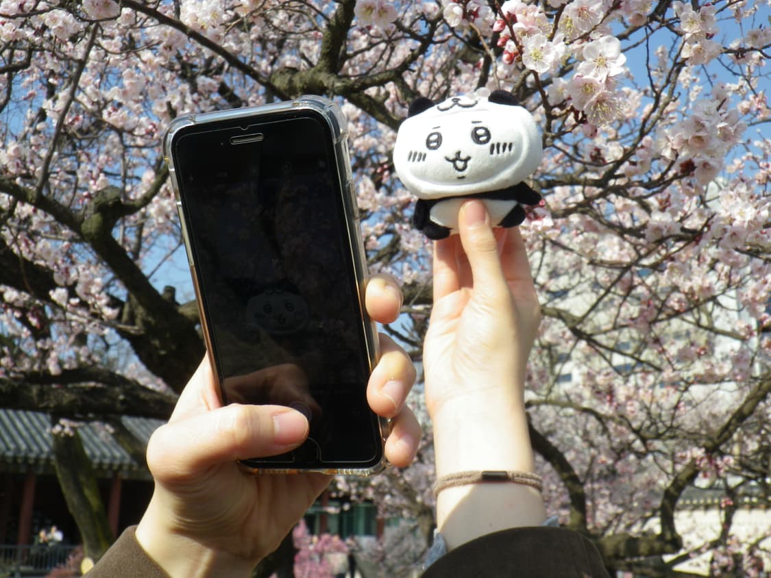 오늘만 할인⭐️ Pentax Optio RZ10 상품이미지5