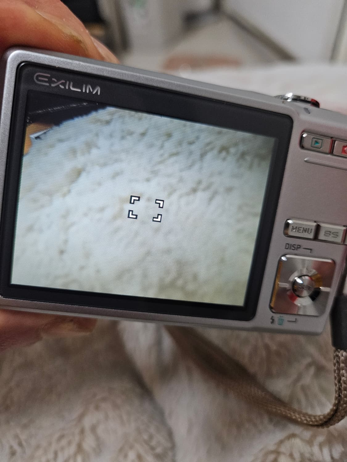 카시오 ex-z500 레트로 디카 빈티지 디카 상품이미지6