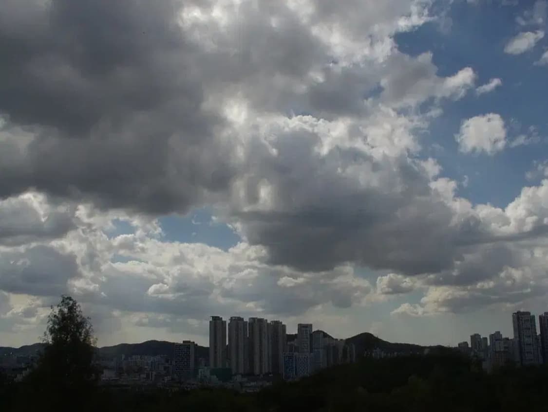 펜탁스 옵티오 MX4 디카 (캠코더 디카) 상품이미지10