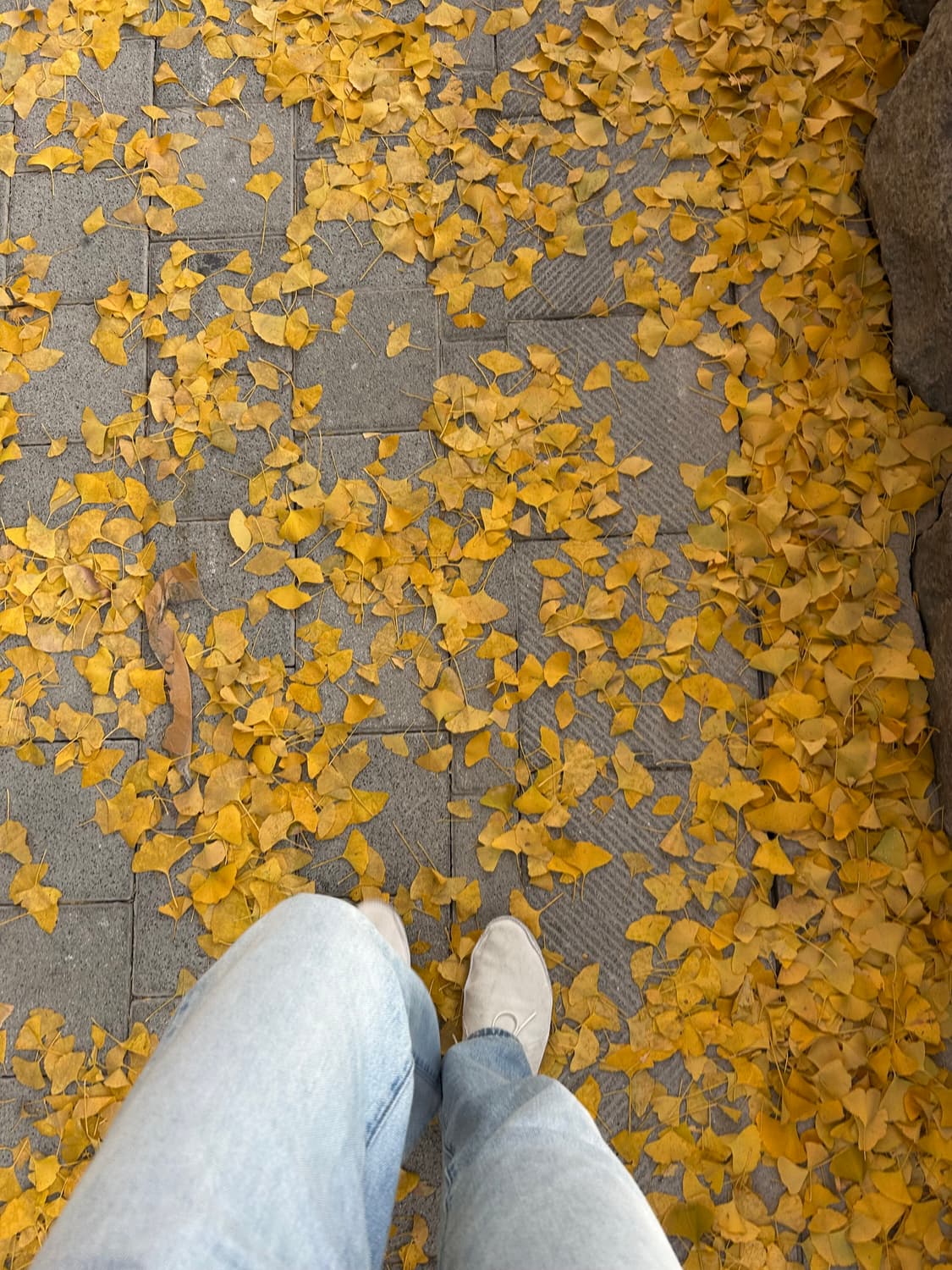 ss23 더로우 Tyler 레이스 업 41 상품이미지2