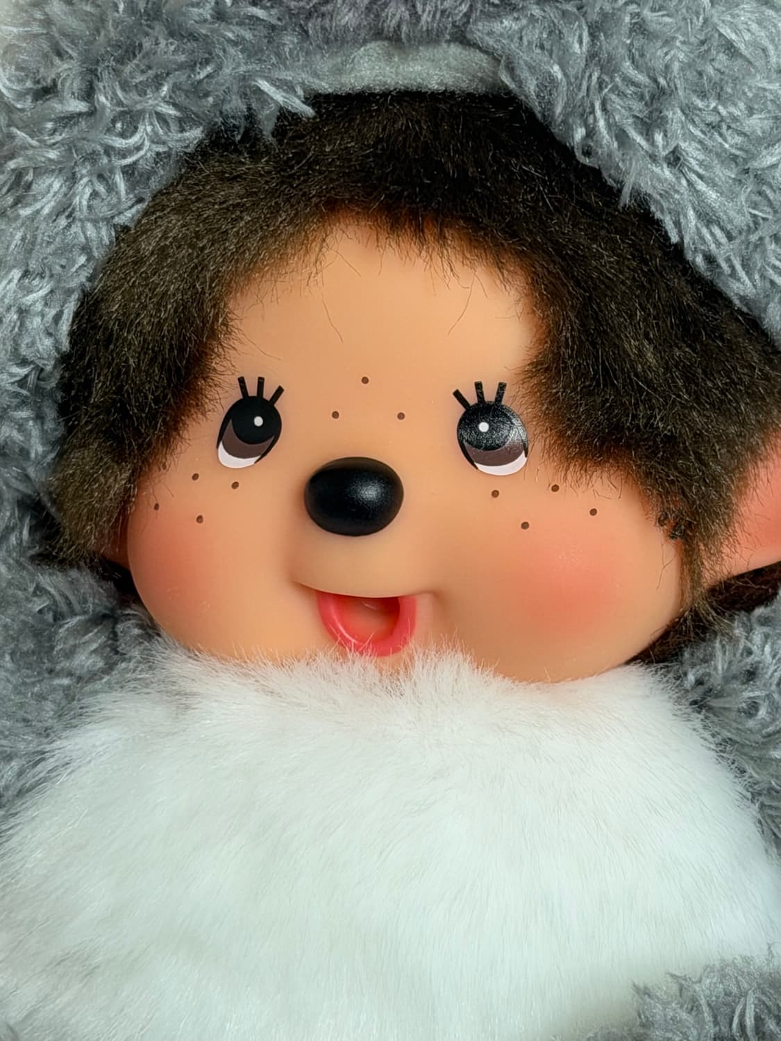 호주 코알라 몬치치🐨 상품이미지3