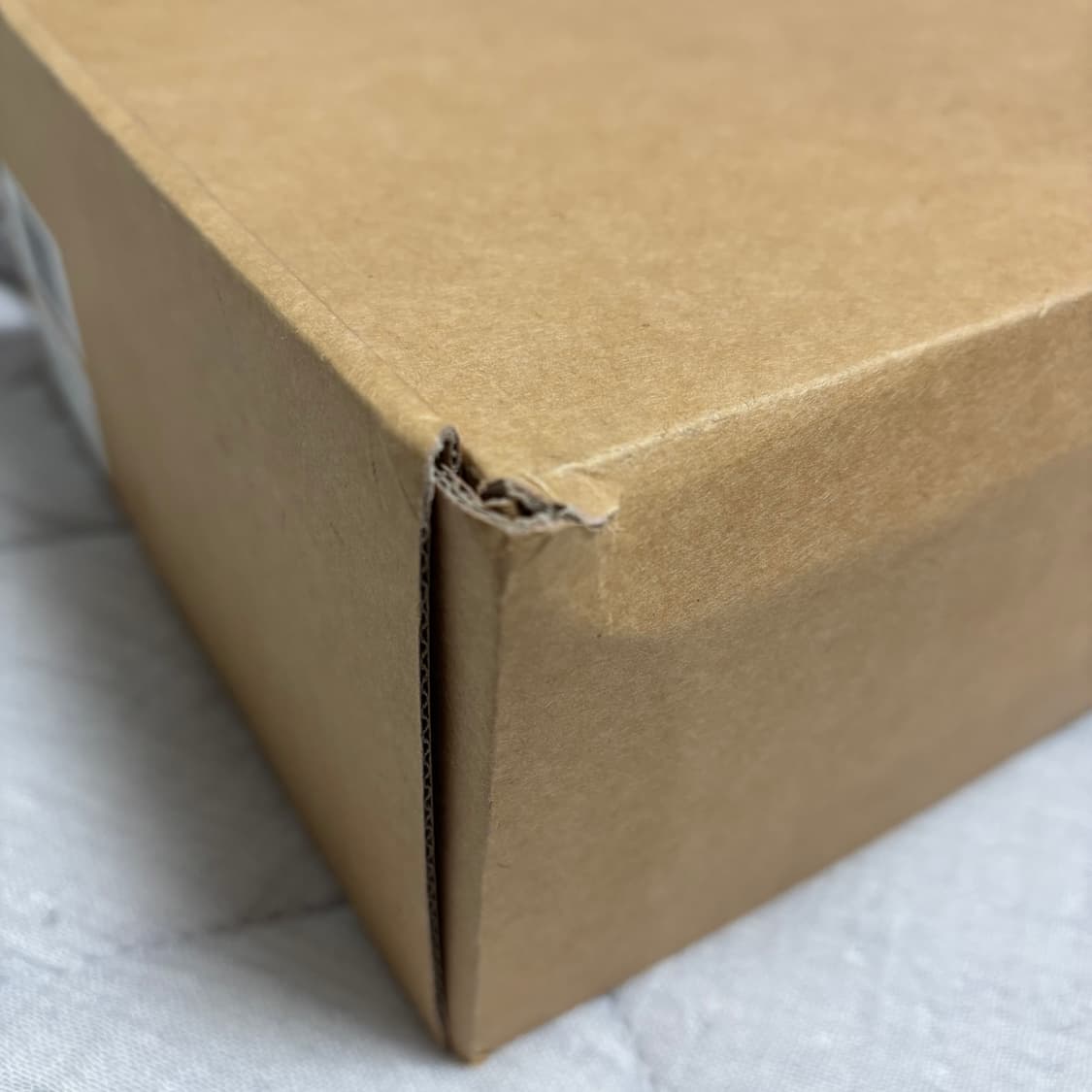 문이퀄블루 리얼 레더 인터스텔라 엑스 스트랩 샌들 블랙 250 정가 26 상품이미지10