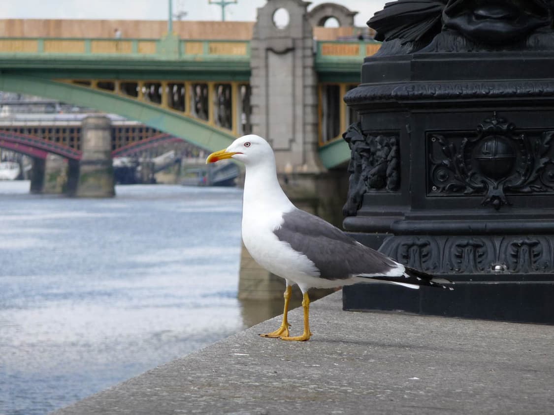 FUJIFILM FinePix JX300 (후지필름 파인픽스 JX300) 상품이미지10