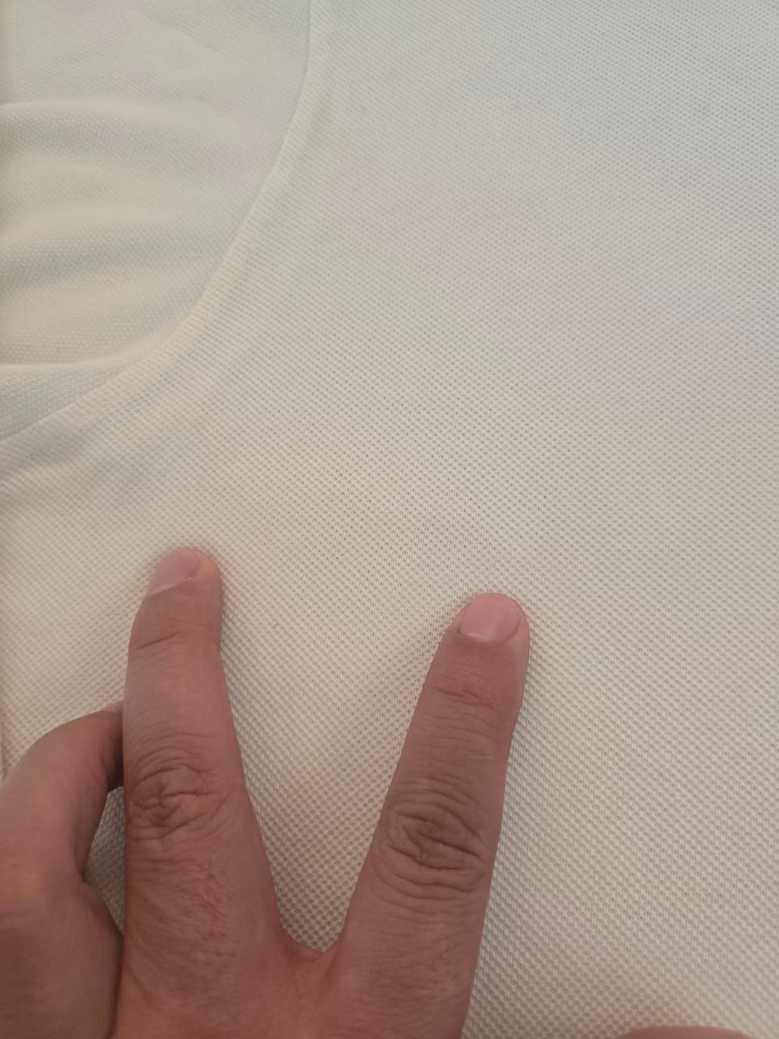 버버리 긴팔 카라 폴로티 아이보리 S 상품이미지10