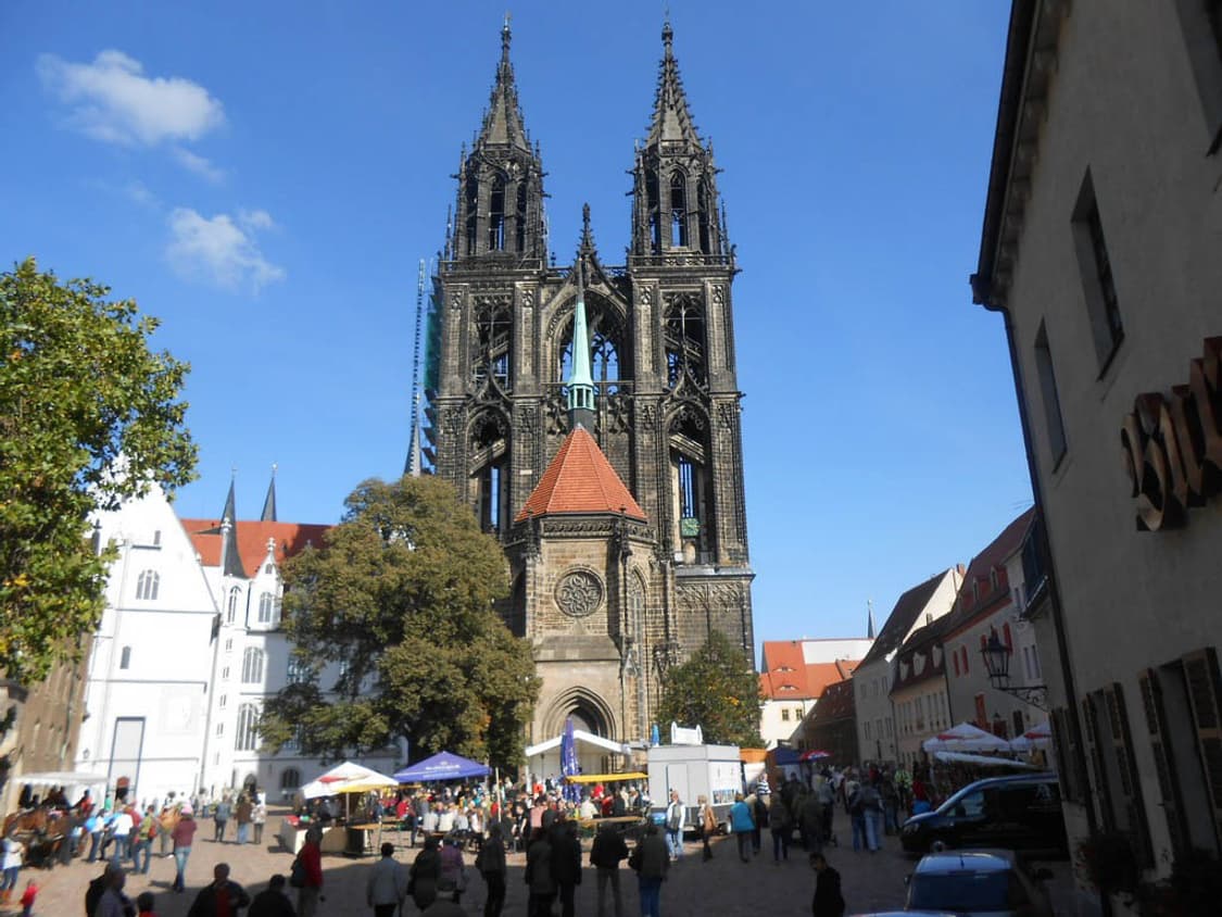 Panasonic DMC-TZ22 (파나소닉 DMC-TZ22) 상품이미지9