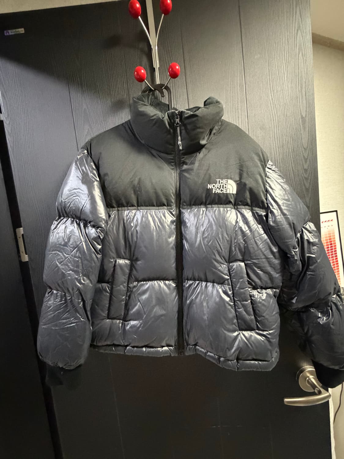 노스페이스 여성 노벨티 눕시 다운 자켓 패딩 NJ1DL81K 상품이미지2