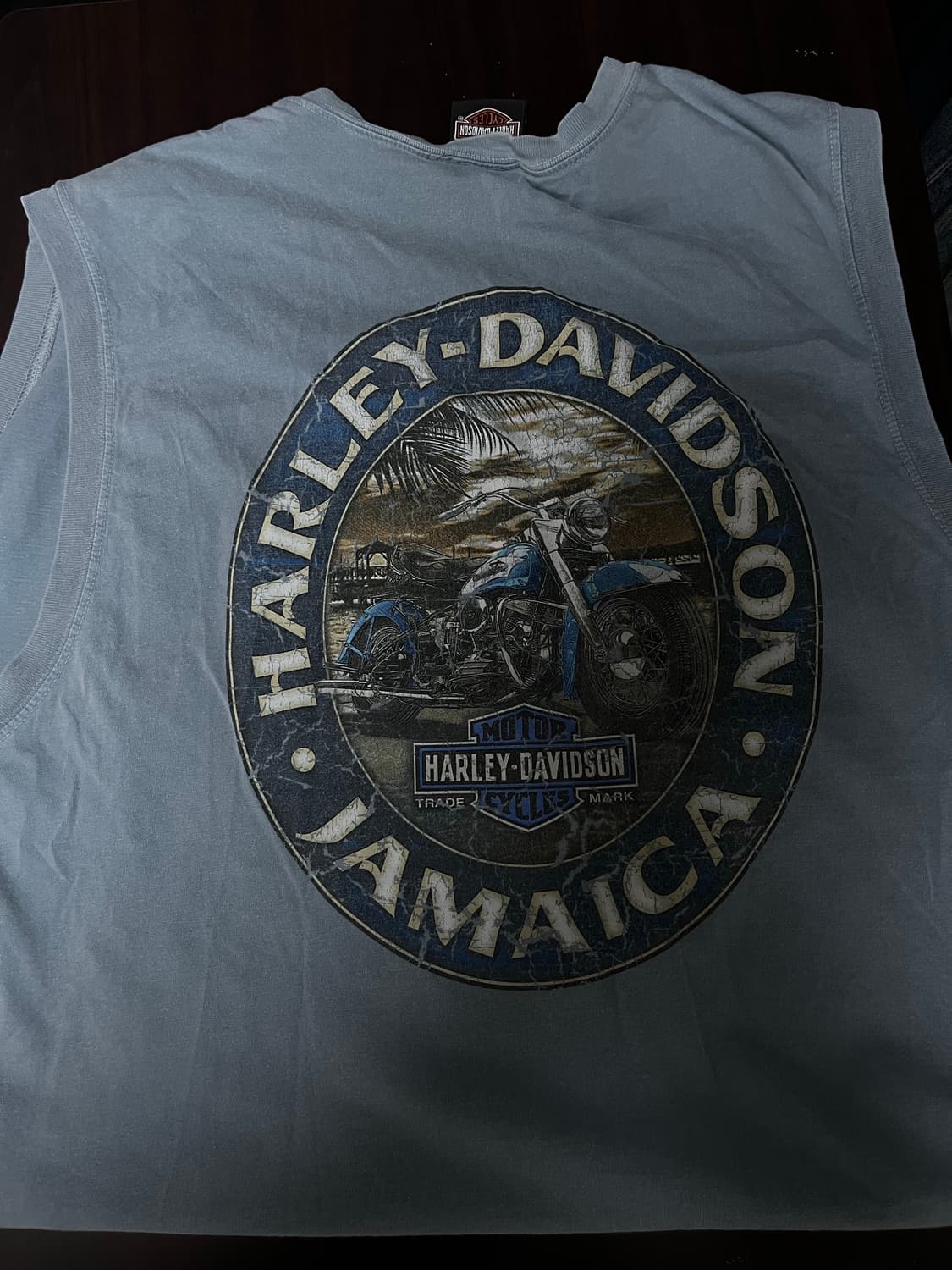 할리데이비슨 슬리브리스 xl 상품이미지3