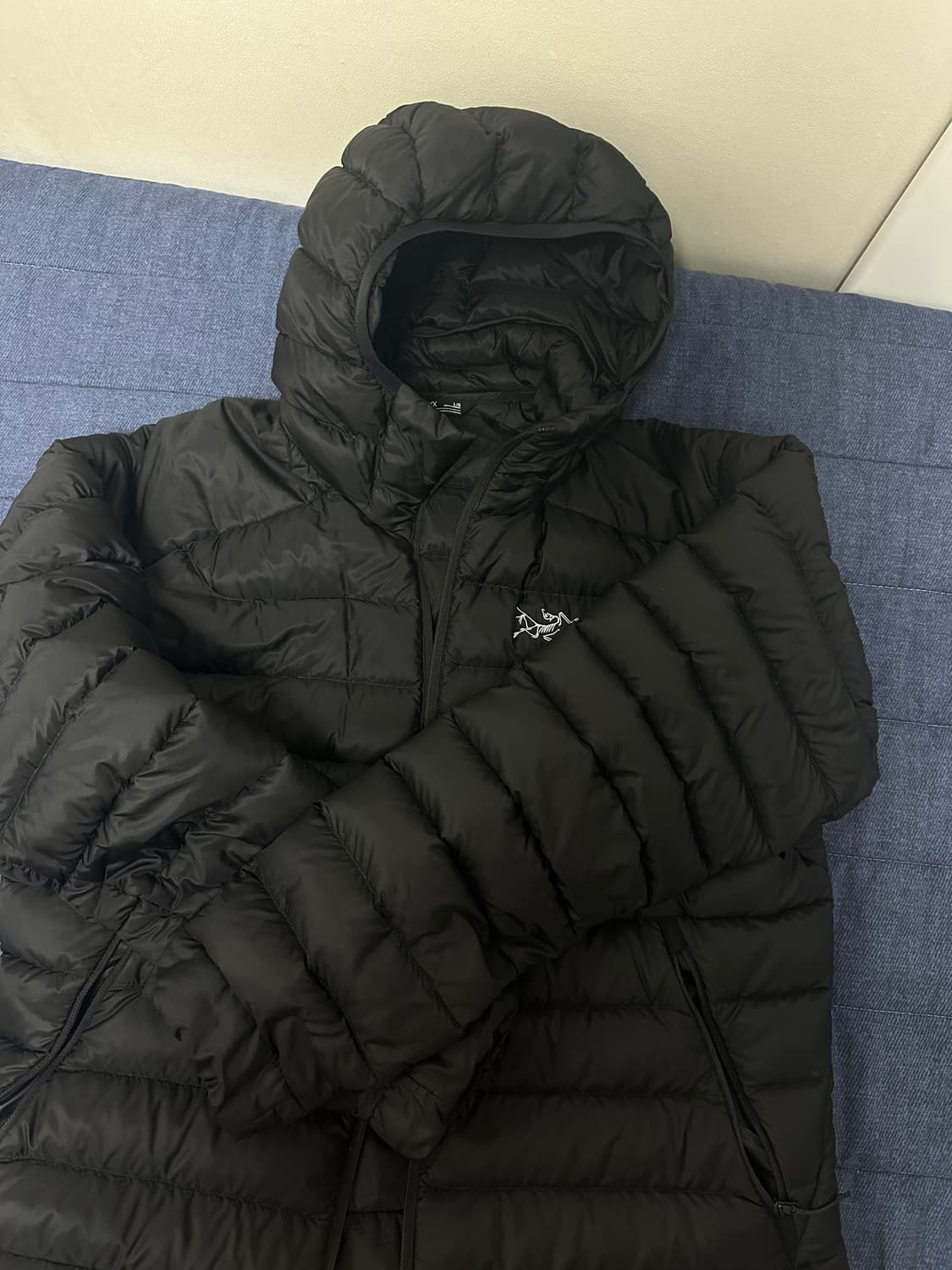 아크테릭스 세륨 후디 블랙 L 상품이미지2