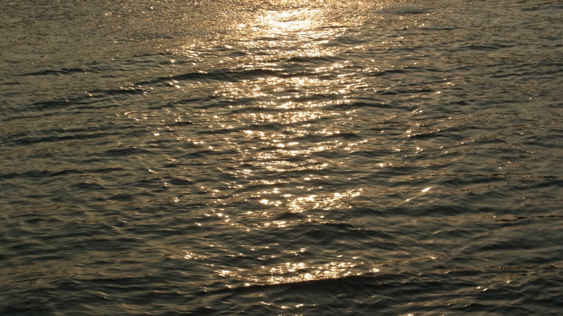 Ricoh cx4 상품이미지2