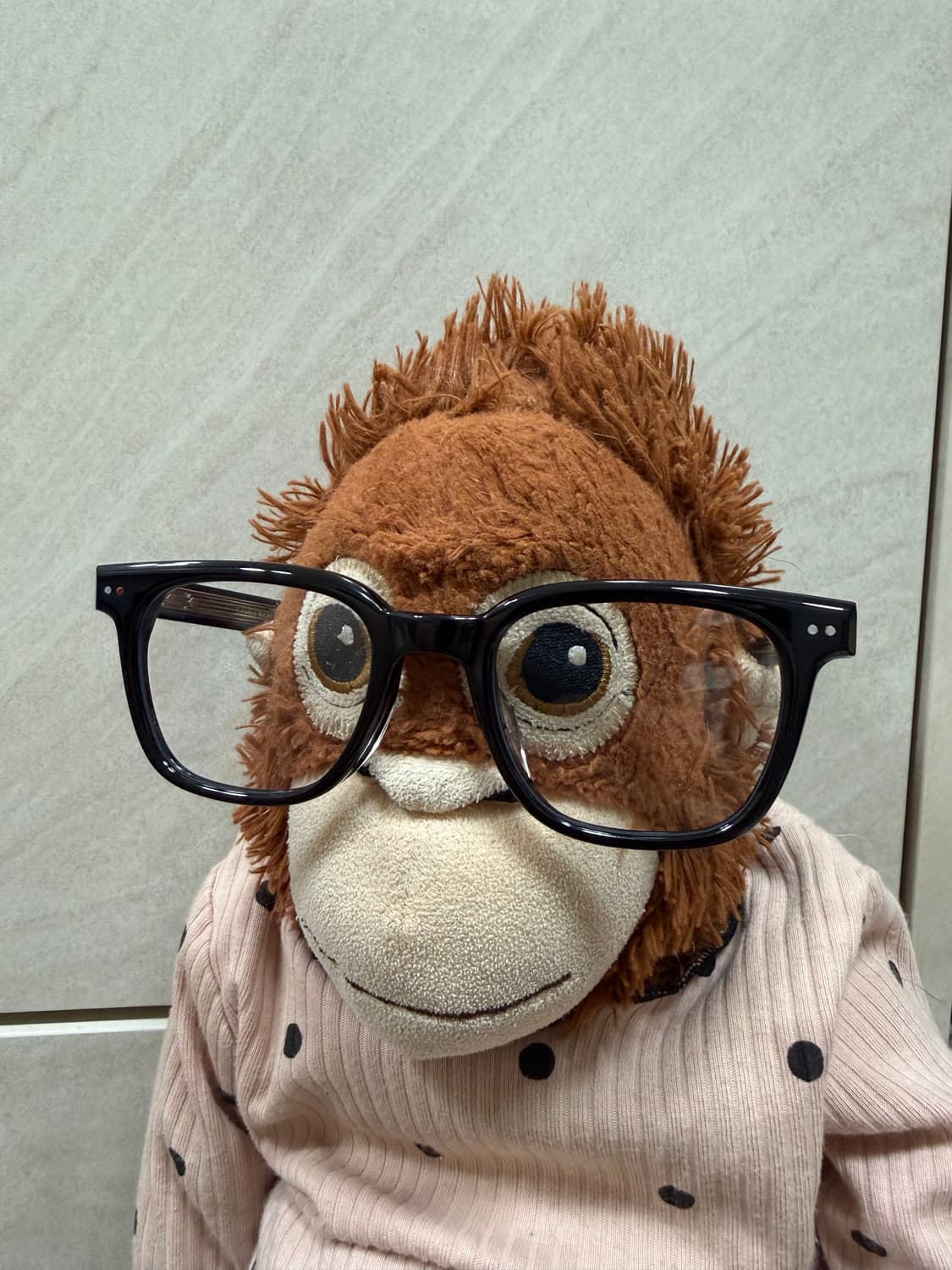 젠틀몬스터 에반01 상품이미지6