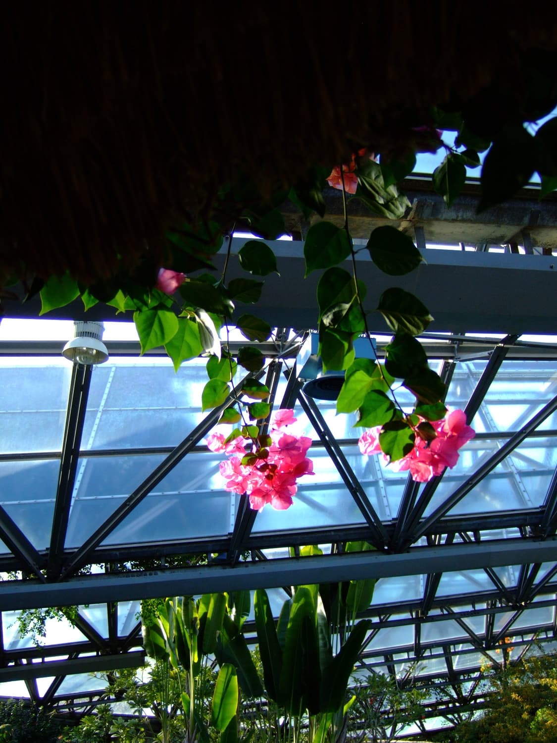 Fujifilm finepix z300 상품이미지9