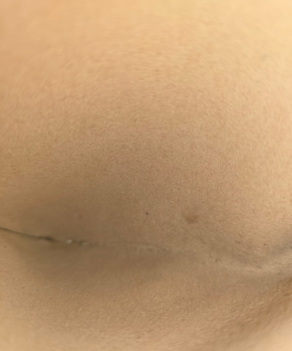 구찌 오피디아파우치 상품이미지7