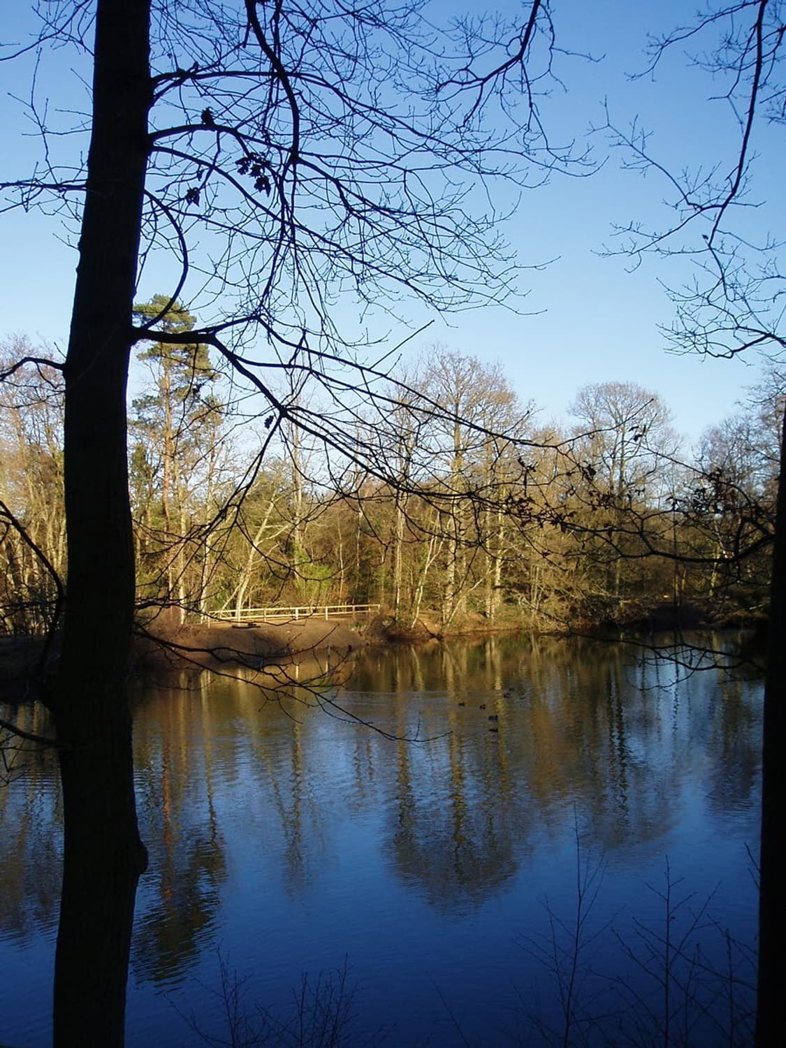 (민트급) Nikon Coolpix S3000 (니콘 S3000)  상품이미지9