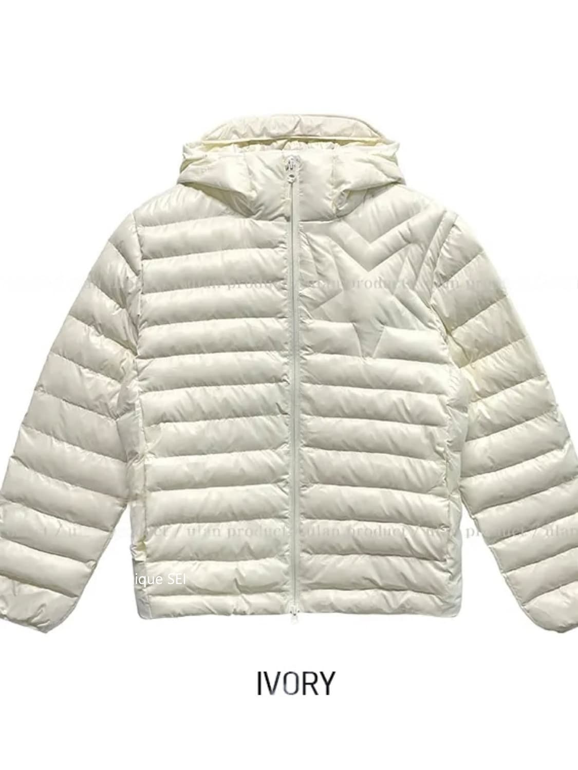 블루스타 코튼 패딩 (3color) 상품이미지9