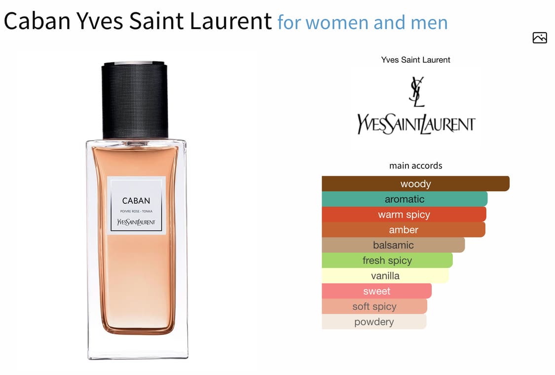 입생로랑 까방 국문택 125ml ysl caban edp 향수 상품이미지4