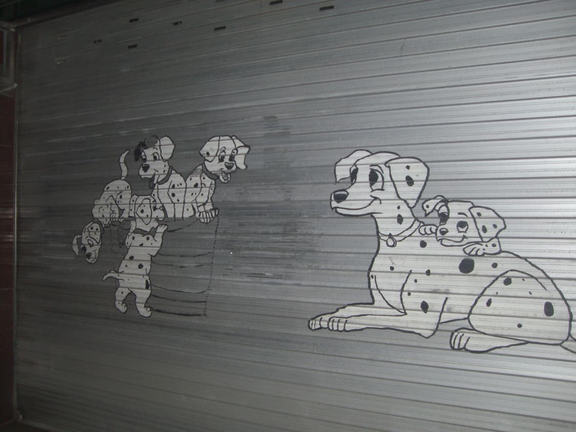 카시오 exilim s770 상품이미지8