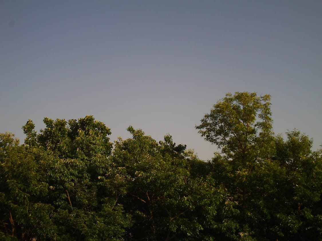 HDV007 / 폴라로이드 dvf 720 동일제품 / 빈티지 디카 작례O 상품이미지7