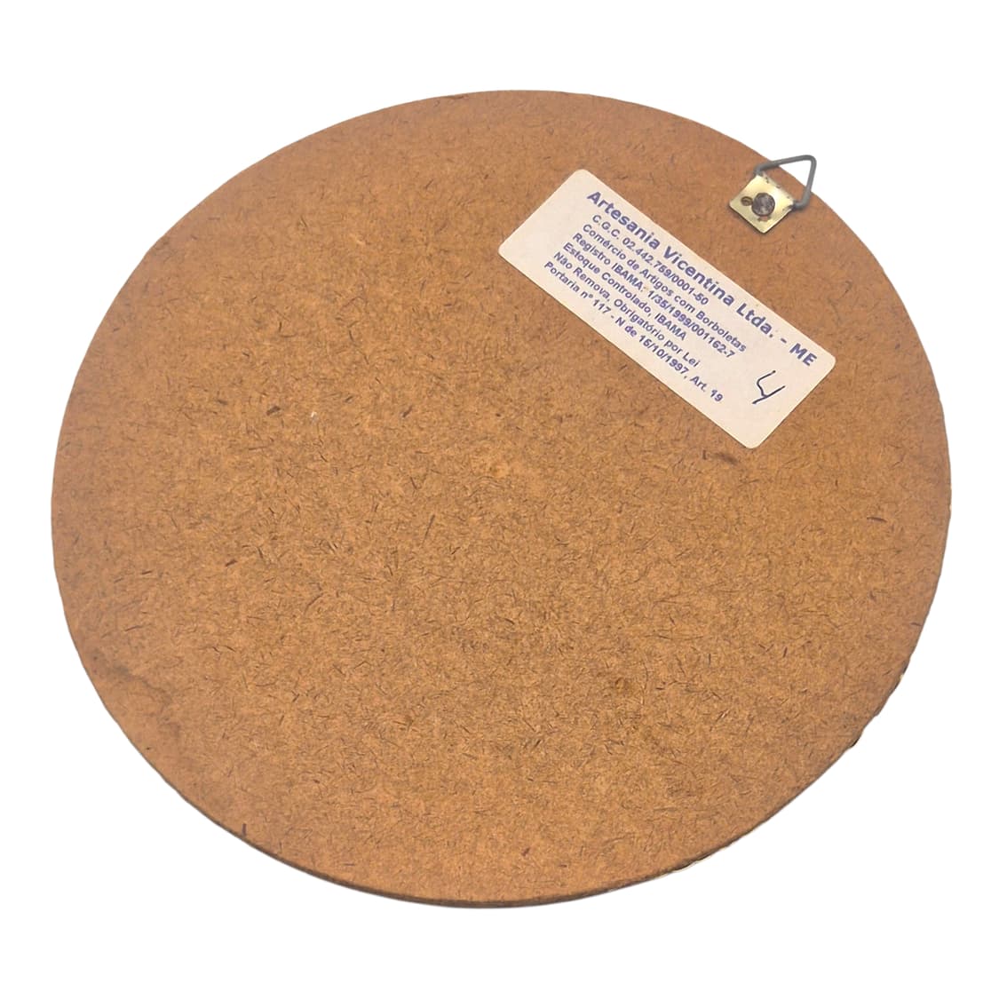 90s 브라질 모르포 나비 표본 원석 벽걸이 상품이미지5