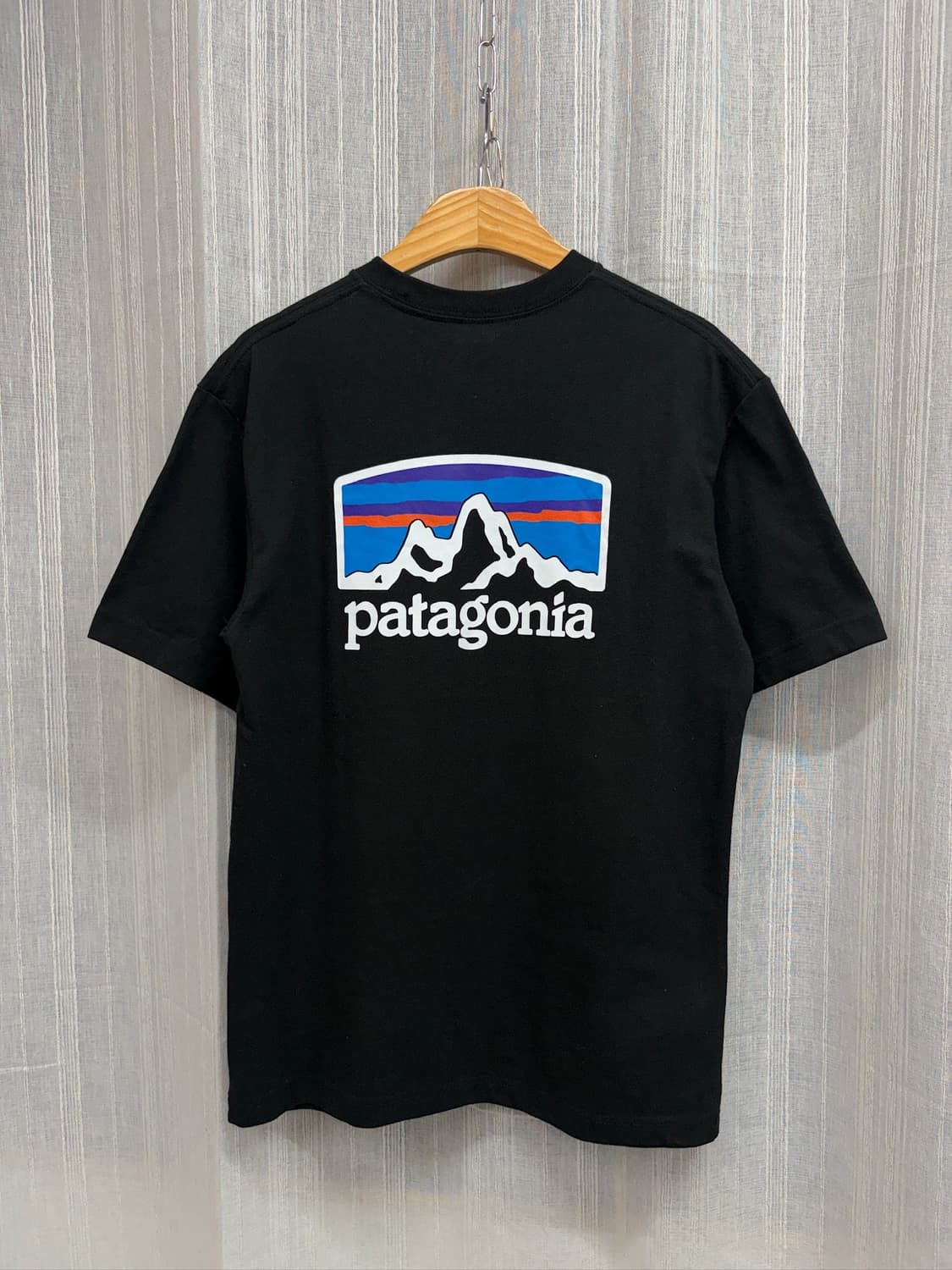 Patagonia 파타고니아 피츠 로이 호라이즌즈 리스폰시빌리 티셔츠 상품이미지3
