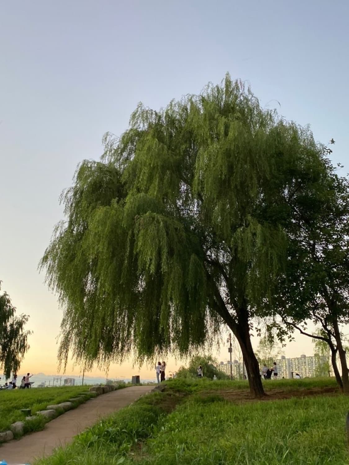 176,500 상품이미지1