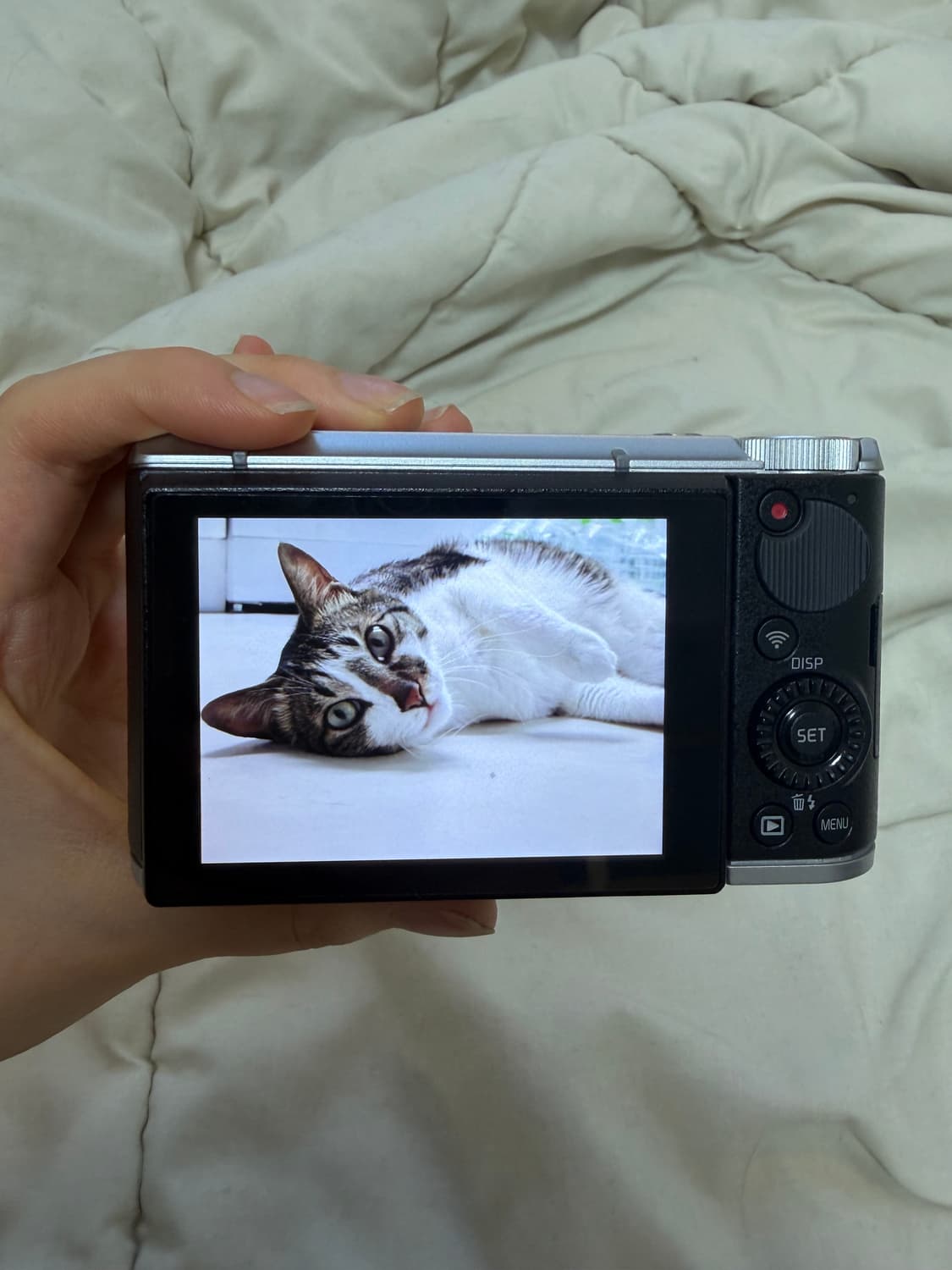 작례 포함)카시오 casio exilim zr4000 빈티지 카메라 상품이미지5