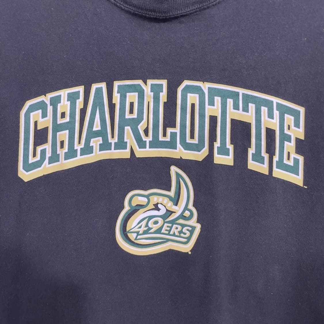 챔피온 프린팅 반팔티 상품이미지7