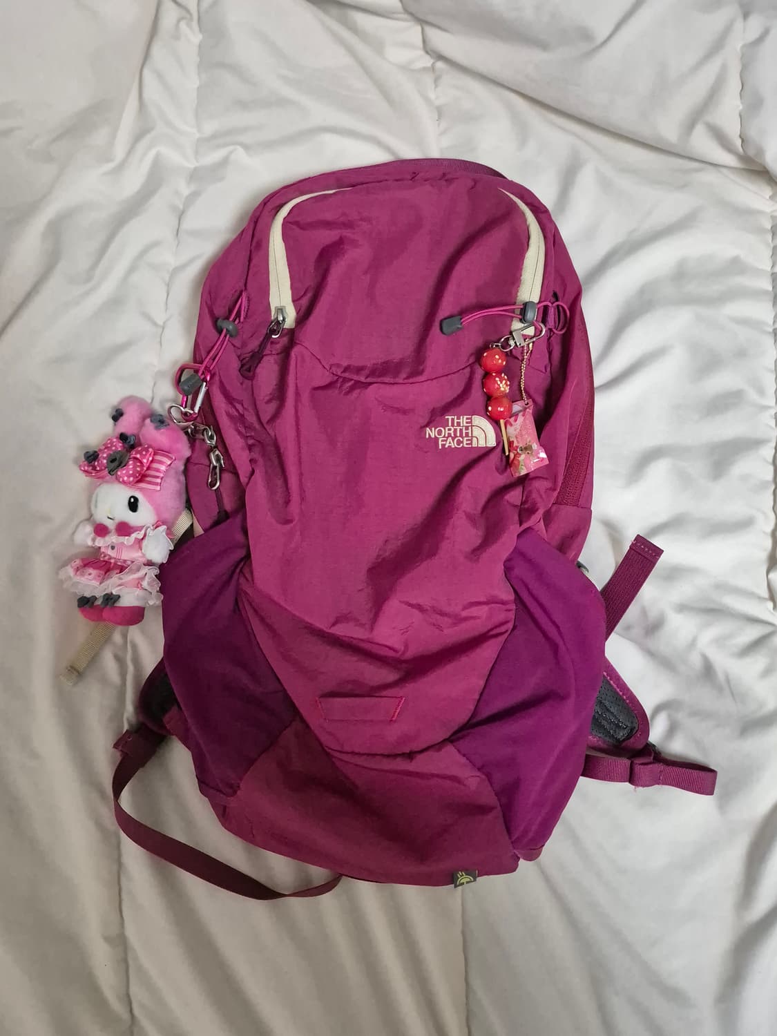 노스페이스 핑크 백팩 20l 상품이미지1