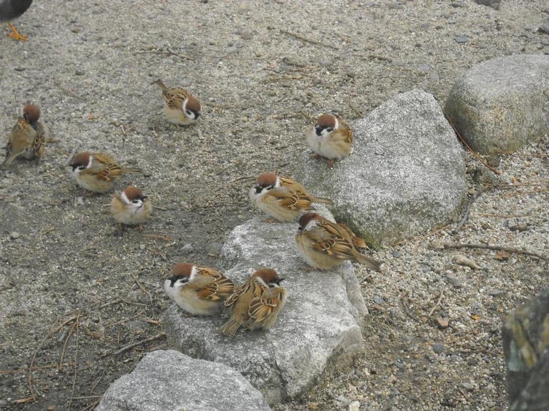 니콘 쿨픽스 Nikon COOLPIX L22 레드 상품이미지3